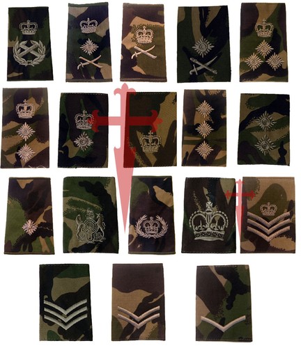 Paio ufficiale woodland dpm - ufficiale,