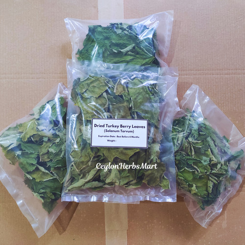 Foglie bacche tacchino - foglie, di