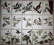 CARTOLINE VINTAGE UCCELLI 1982-1985  REPUBBLICA DEI RAGAZZI