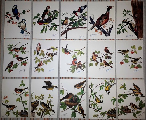 Cartoline vintage uccelli - cartoline,