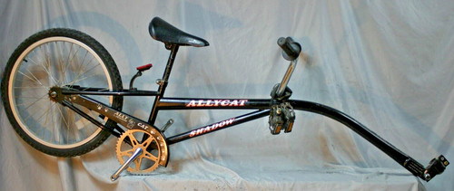2007 allycat shadow - allycat,