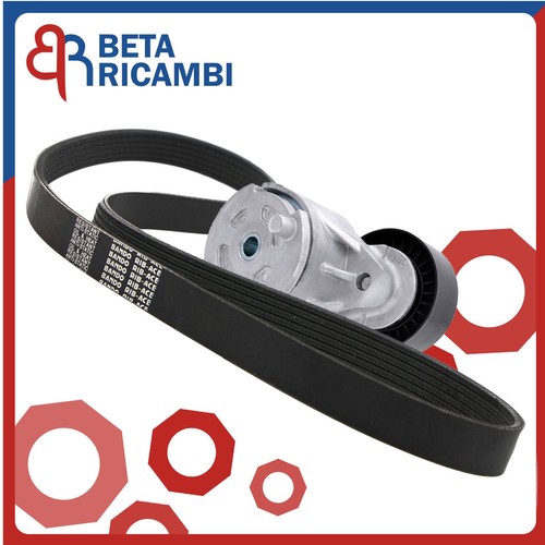 Kit cinghia servizi - servizi, +