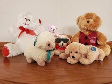 Animali soffici coccolosi