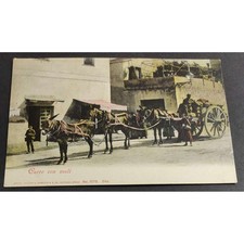 Cartolina Carro con Muli