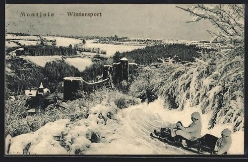 Montjoie slittino sulla neve - montjoie,,