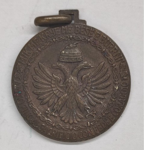 Medaglia armata campagna - medaglia,