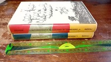 LIBRO: GIOVENE A