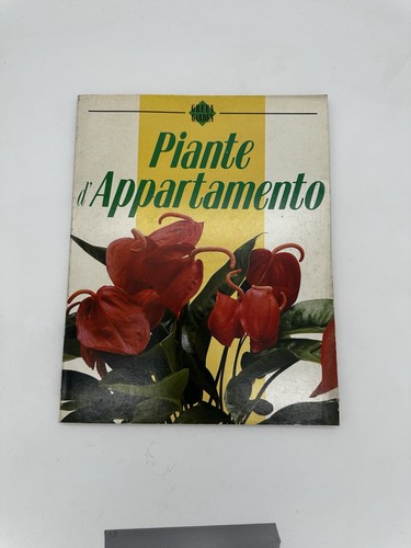 Piante appartamento - piante,
