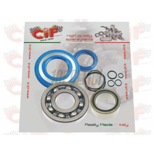 Kit 2 cuscinetti e 2 paraoli