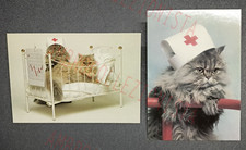 2 x Cartoline Gatti - Gatta Crocerossina - CRI "World Collection"