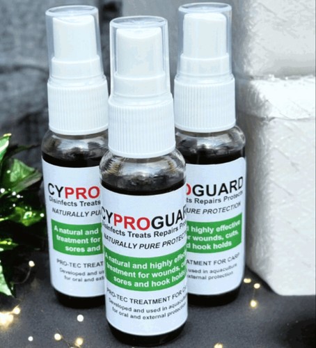Cyproguard carp care - carp,