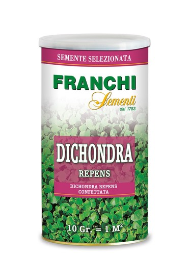 Semi dichondra repens - di,