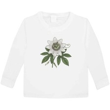 'Beautiful Passion Flower'