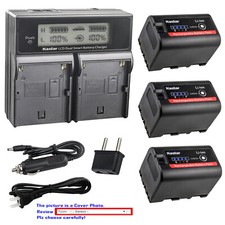Kastar LCD Dual Fast Charger