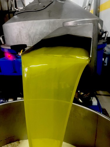 Olio extravergine oliva - olio,