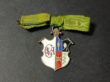 SIENA MEDAGLIA SMALTATA FONDAZIONE CONSERVATORI RIUNITI DI SIENA PRIMI '900