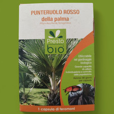 PRESTO BIO FEROMONI CONTRO IL PUNTERUOLO ROSSO DELLA PALMA PER TRAPPOLA