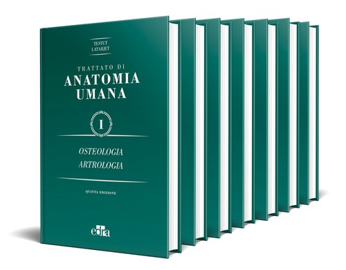 Trattato anatomia umana - trattato,