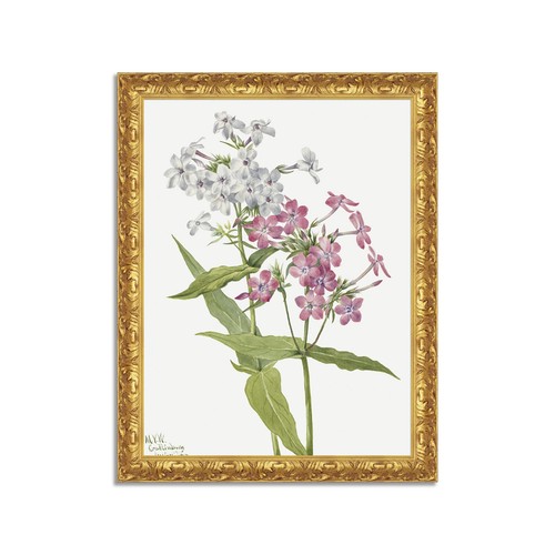 Quadro stampa tela effetto - quadro, su