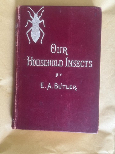 Our household insects e - household, insects,