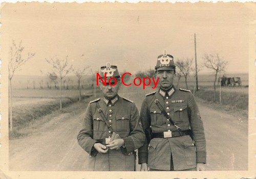 Foto polizia gendarmeria