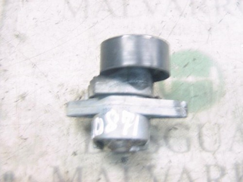 Tendicinghia ausiliaria - tendicinghia, /