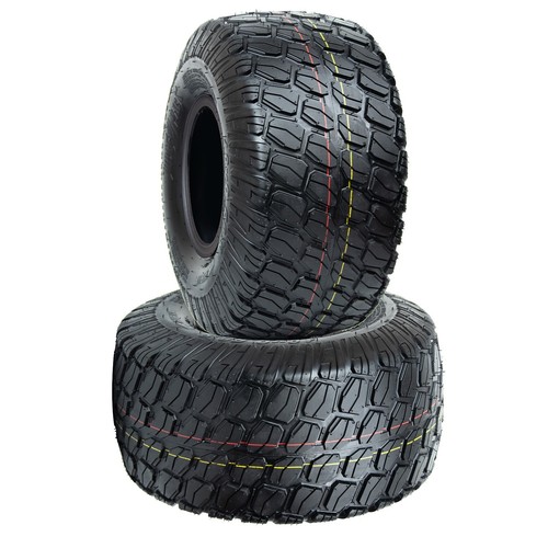 Set due pneumatici - , 20x10-8