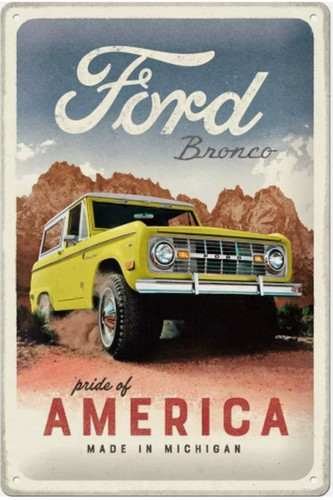 Ford bronco pannello metallico - ford,