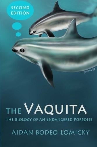 The vaquita - the, an
