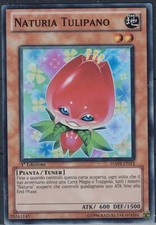 CARTA YU-GI-HO HA03 NATURIA