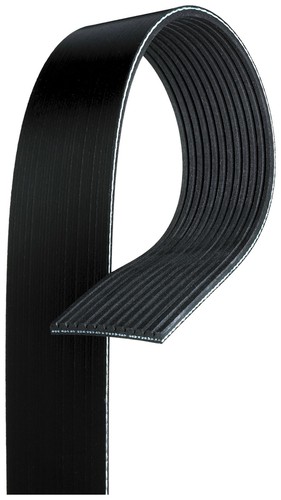 Cinghia trapezoidale gates - cinghia,