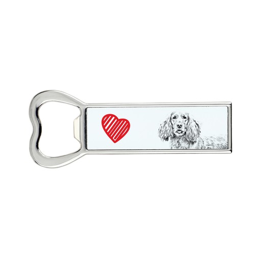 Cocker spaniel inglese - spaniel,