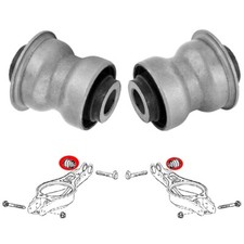 Boccole Dei Bracci Posteriori