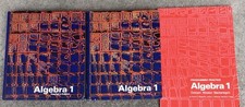 Algebra 1 Dolciani teacher