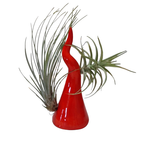 Corno portafortuna ceramica - portafortuna,