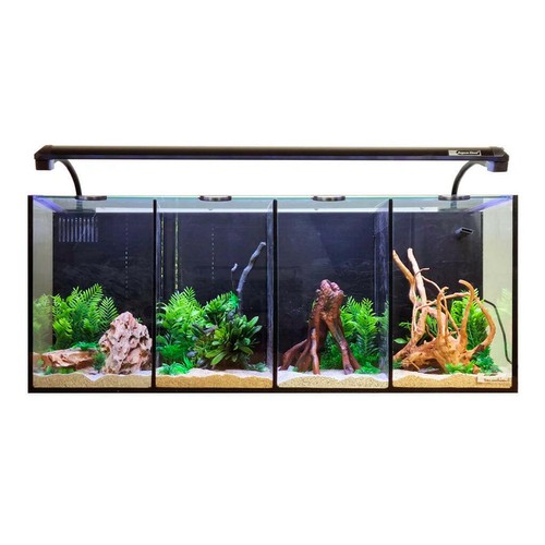Acquario aqua one - aqua, quad