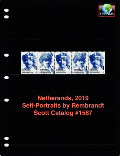 Scott value 2019 - value,