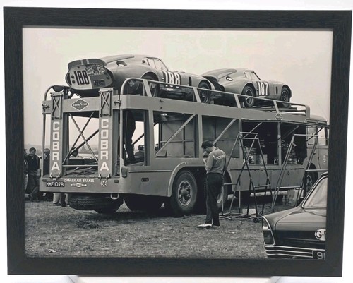 Autotrasportatore shelby - autotrasportatore,