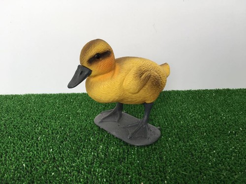 Anatroccolo giallo piedi di - piedi,