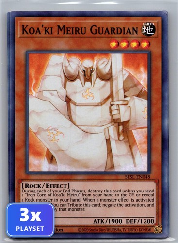 Koa meiru guardian - koa'ki,
