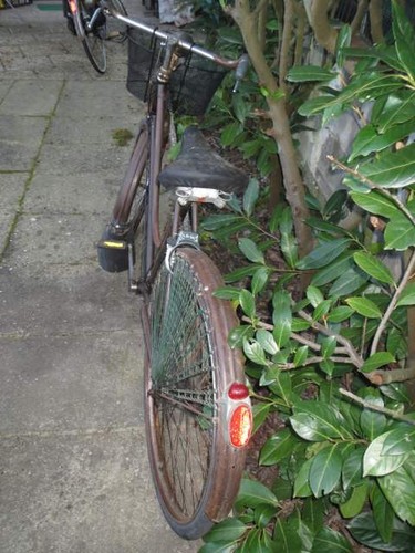 Bicicletta edoardo bianchi - edoardo,