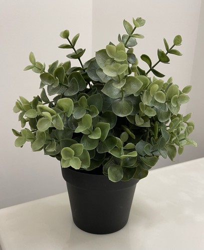 Pianta decorativa ikea verde - decorativa,