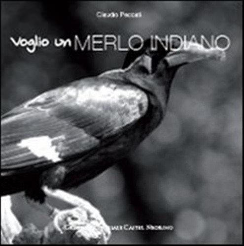 Voglio merlo indiano - merlo,