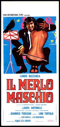 Merlo maschio buzzanca - merlo,