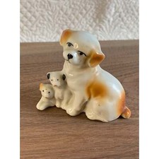 Brown and White Dog with