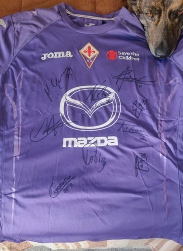 Raro maglia fiorentina - -,