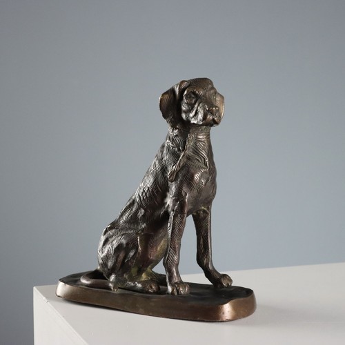 Scultura bronzo labrador - scultura, in