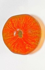  Semi di pomodoro Orange