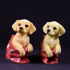 Bellissima statua cucciolo