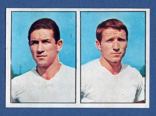 Figurina calciatori panini - figurina,
